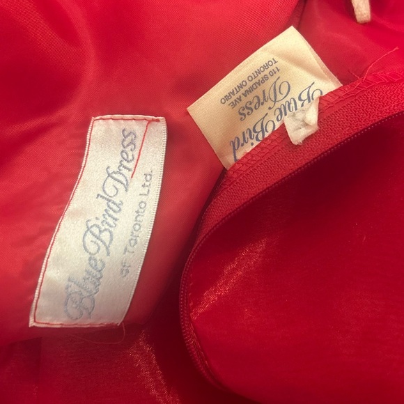 Vintage Red Cocktail Dress | 1960s Puff Sleeve Organza Dress | Blue Bird Toronto - Picture 8 of 9